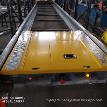 Certificated Cold Storage Shuttle Carrier for More Pallet Storage